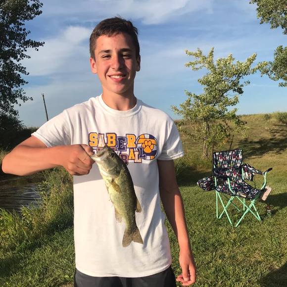 Meet your Posher, Rylan - Picture 1 of 1